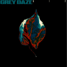 Grey Daze — B12 cover artwork