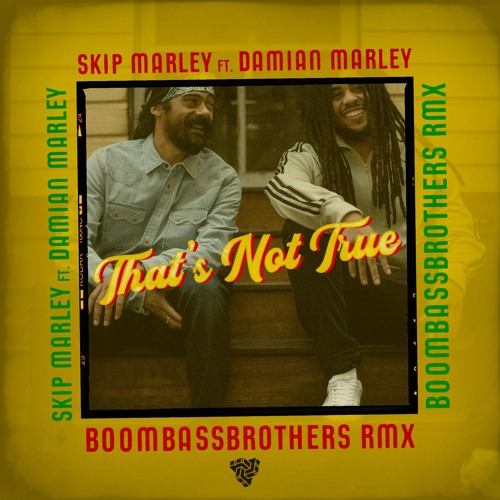 Skip Marley featuring Damian Marley — That&#039;s Not True cover artwork