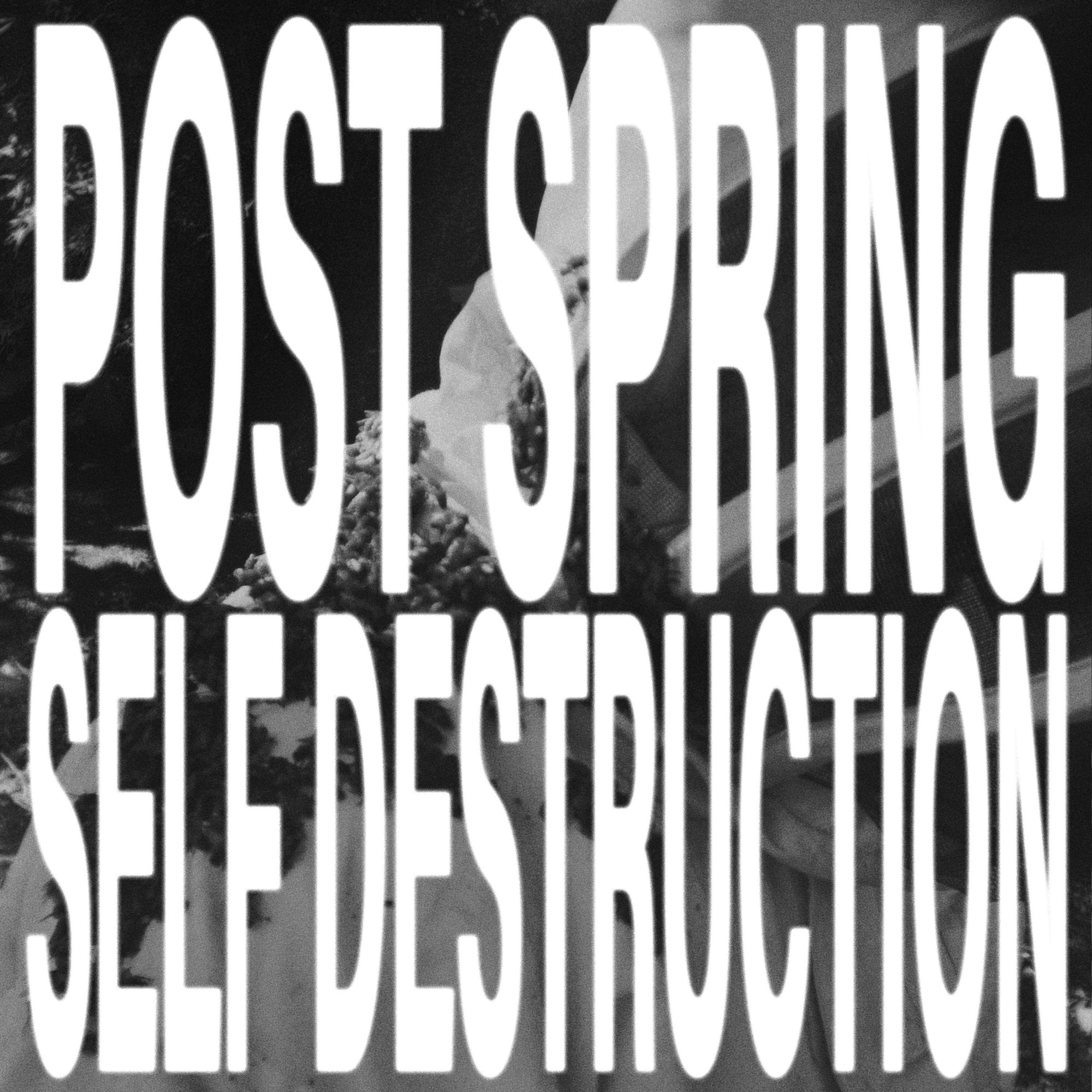 aldn post spring self destruction cover artwork