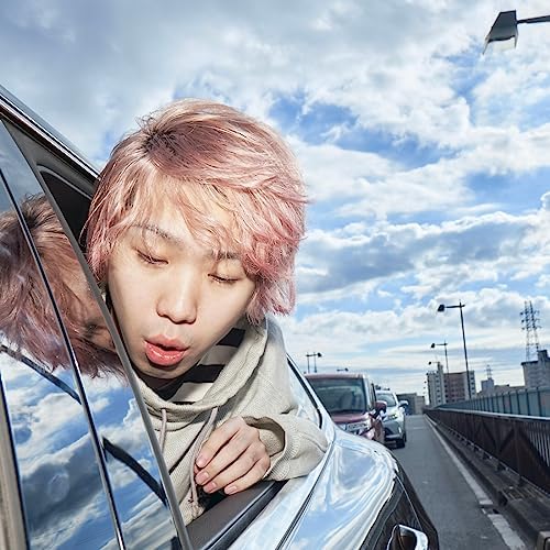LIL SOFT TENNIS i have a wing cover artwork