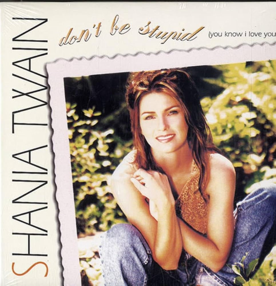 Shania Twain Don&#039;t Be Stupid (You Know I Love You) cover artwork