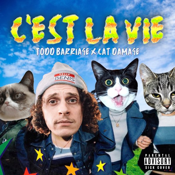 Todd Barriage & Cat Damage — C’est La Vie cover artwork