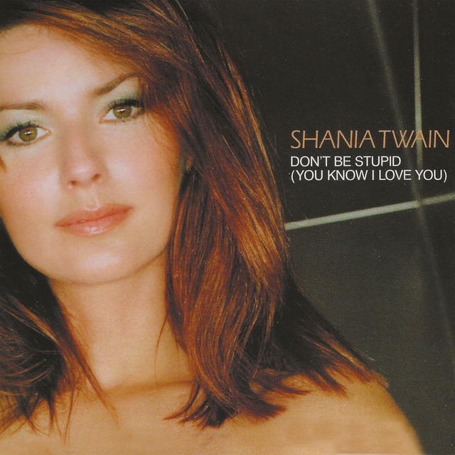 Shania Twain — Don&#039;t Be Stupid (You Know I Love You) (Dance Mix) cover artwork