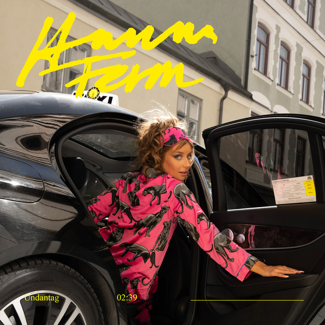 Hanna Ferm — Undantag cover artwork
