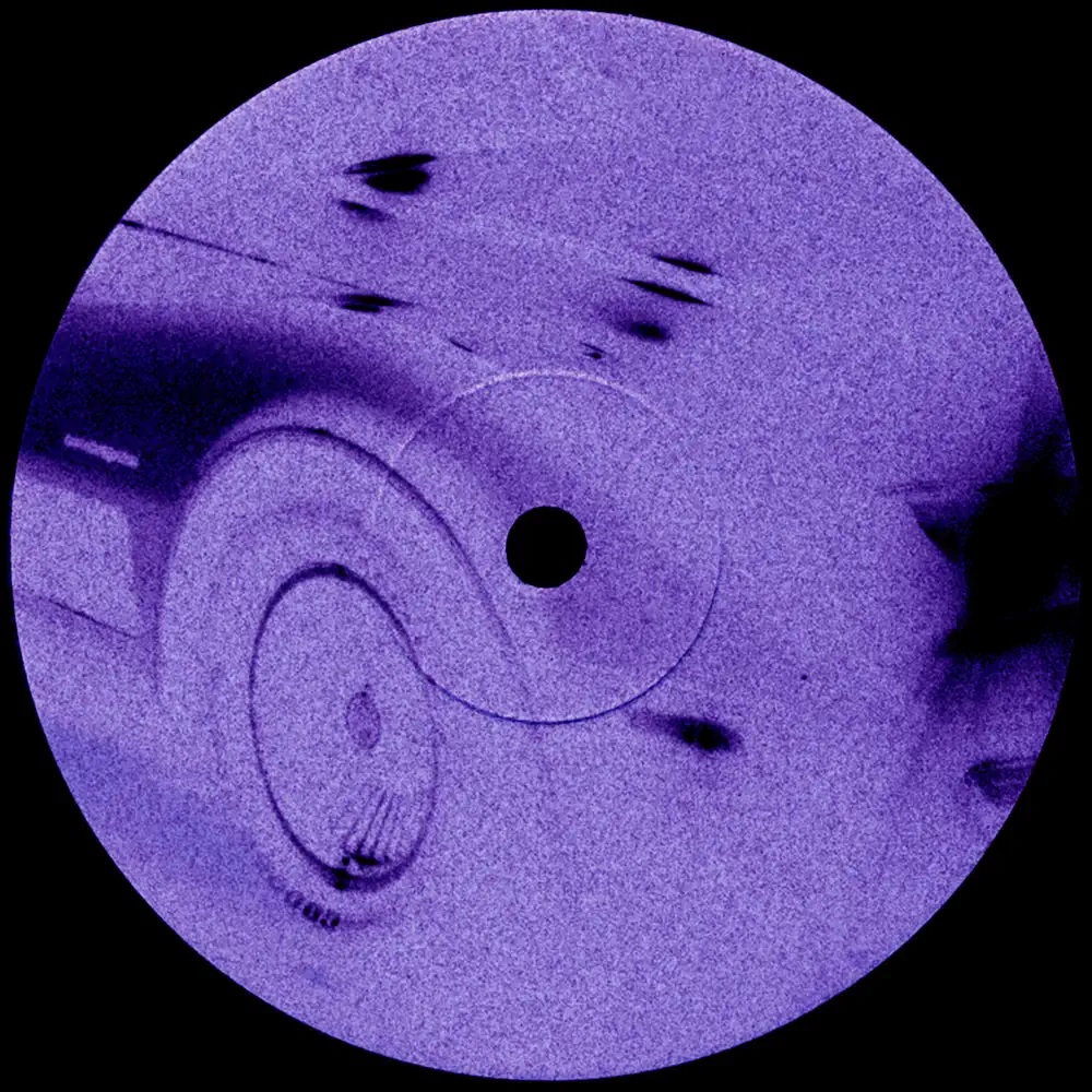 DATSKO — The Color Violet cover artwork