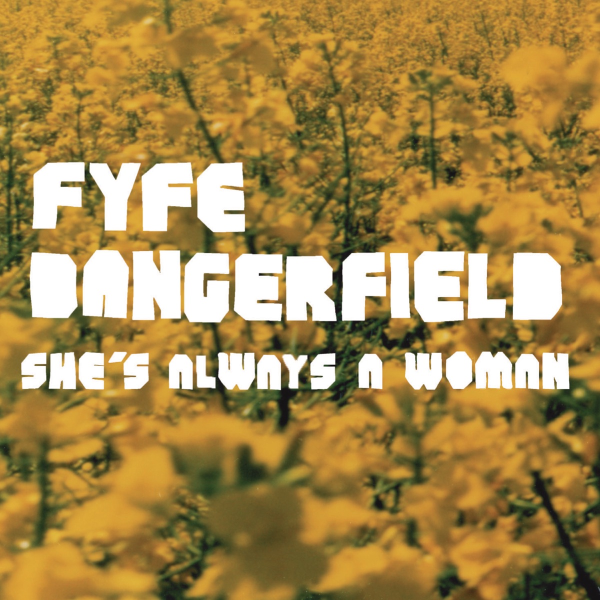 Fyfe Dangerfield She&#039;s Always a Woman cover artwork