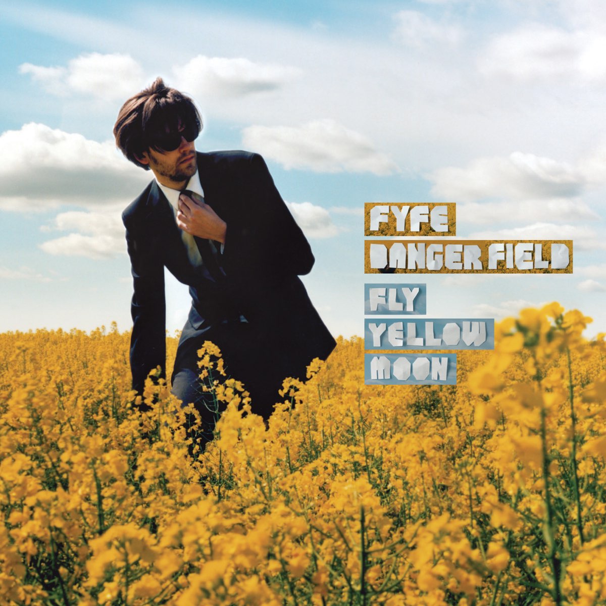 Fyfe Dangerfield Fly Yellow Moon cover artwork