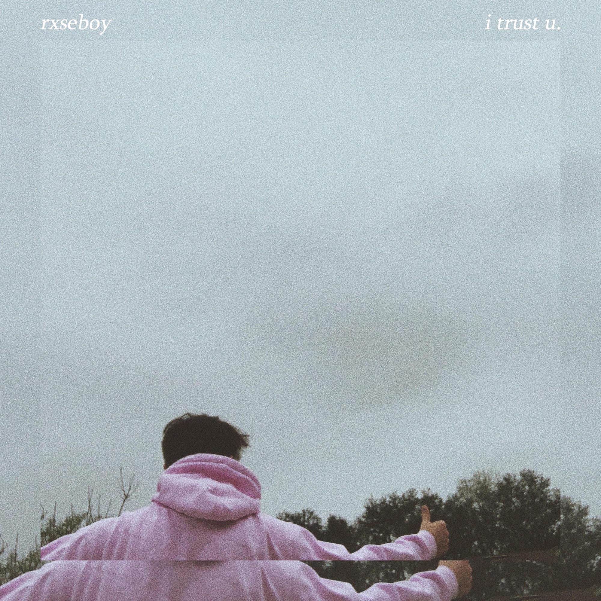 Rxseboy featuring Cold Illumination — i trust u. cover artwork