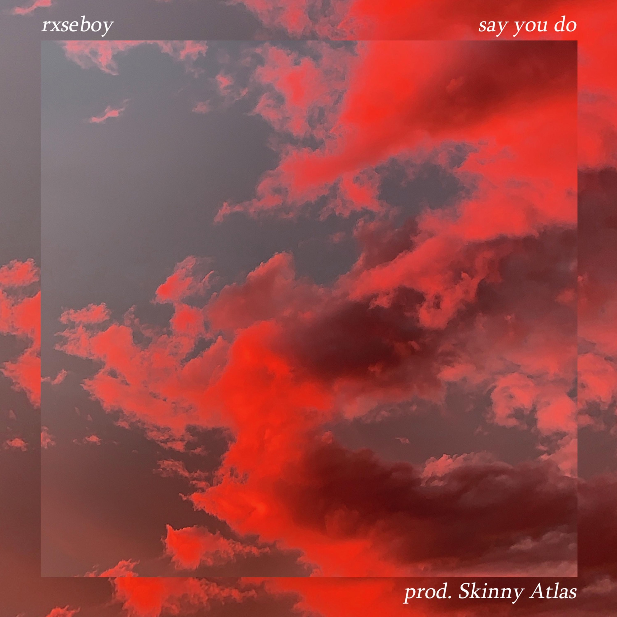 Rxseboy featuring Skinny Atlas — Say You Do cover artwork