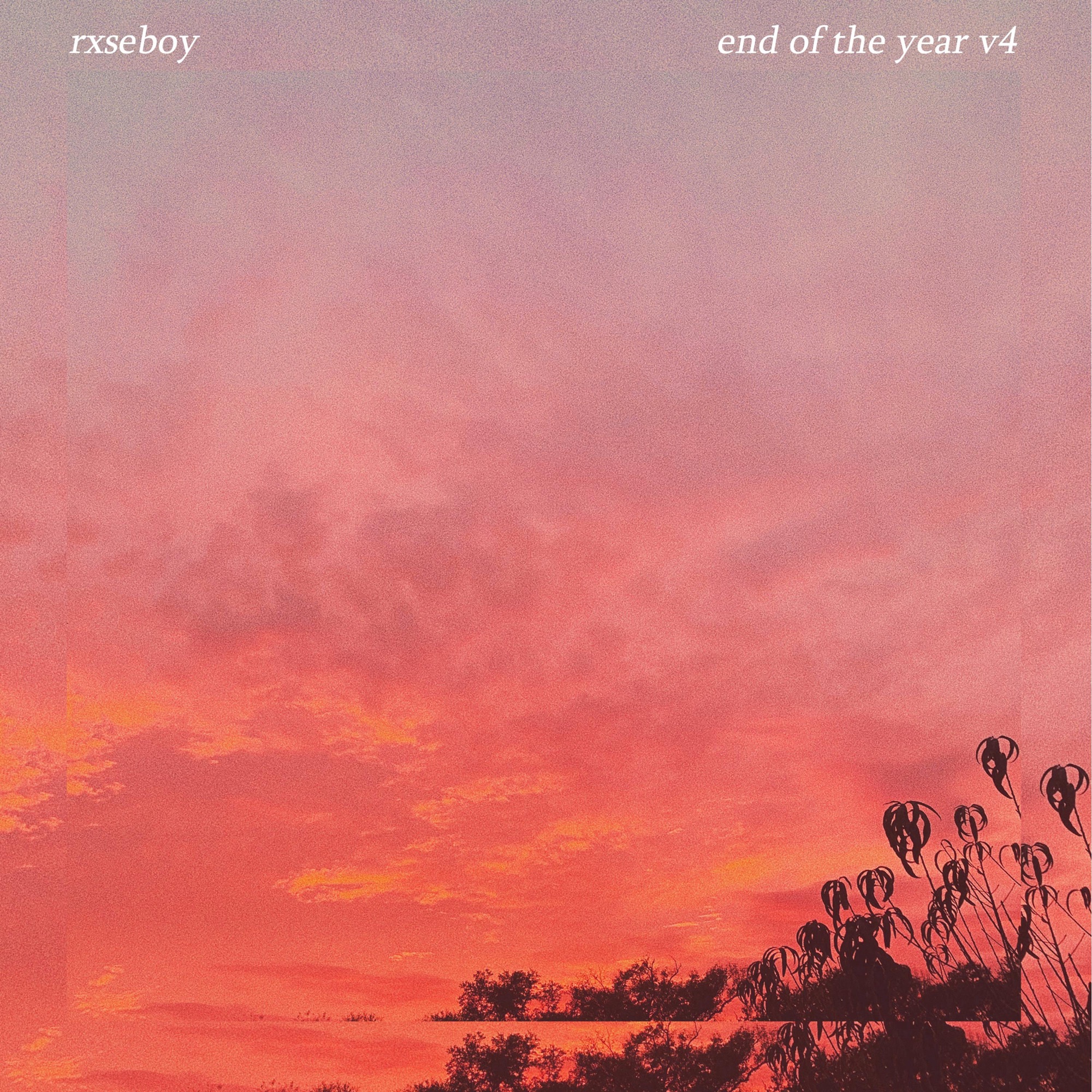 Rxseboy — end of the year v4 cover artwork
