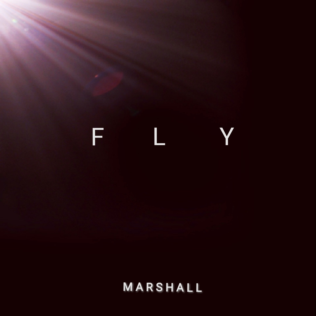 Marshall — Fly cover artwork