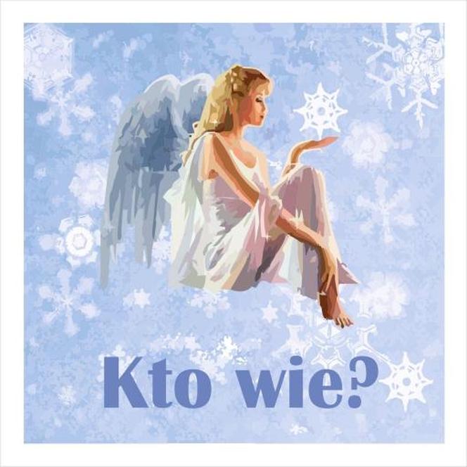 De Su — Kto wie? cover artwork