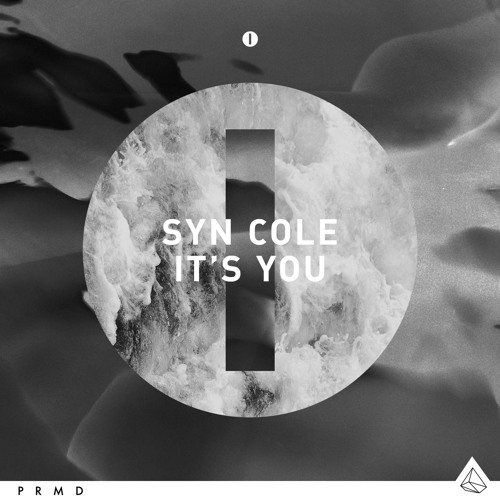 Syn Cole — It&#039;s You cover artwork