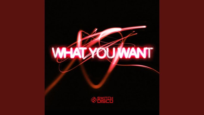 Switch Disco — WHAT YOU WANT cover artwork