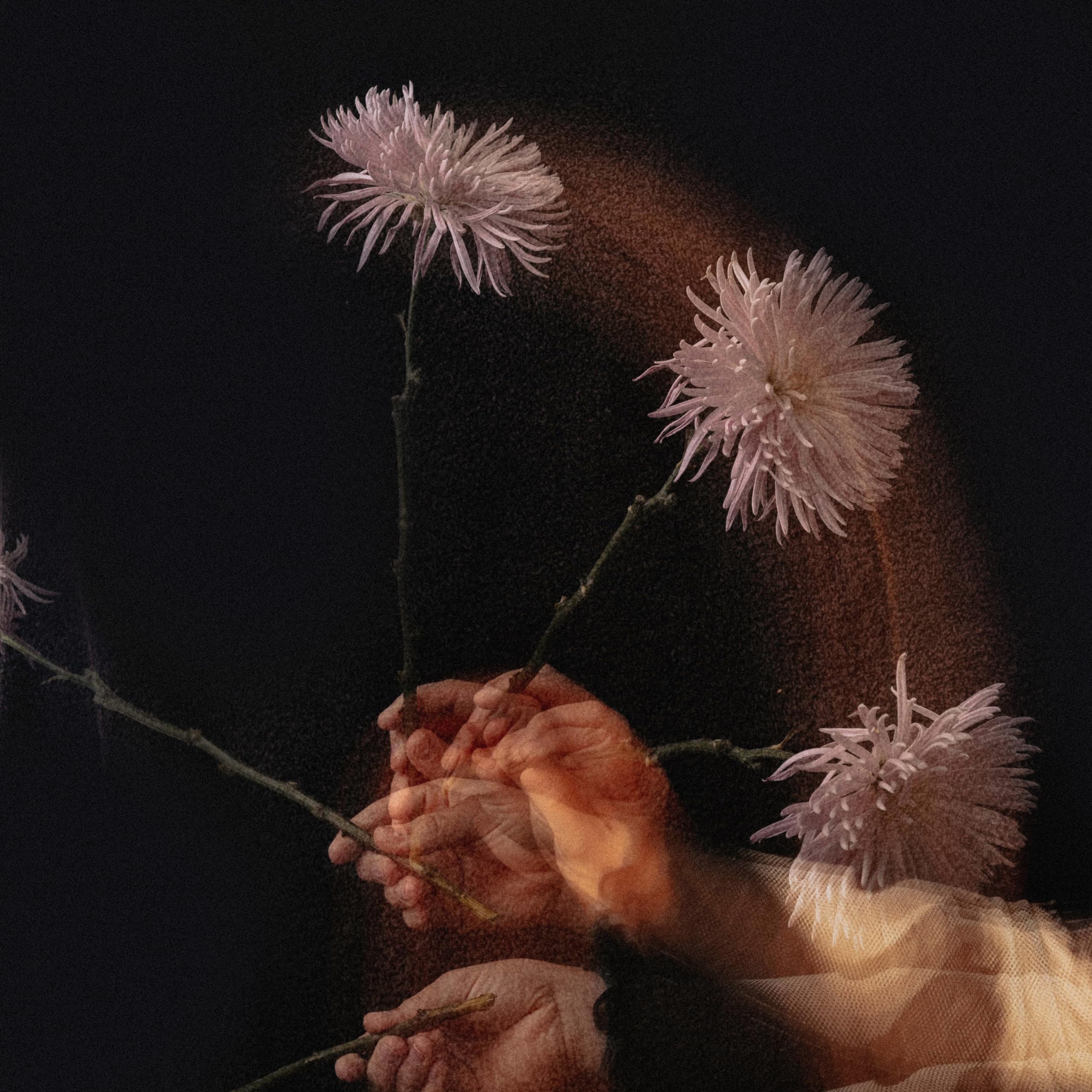 Leah Marlene — Dying Wish cover artwork