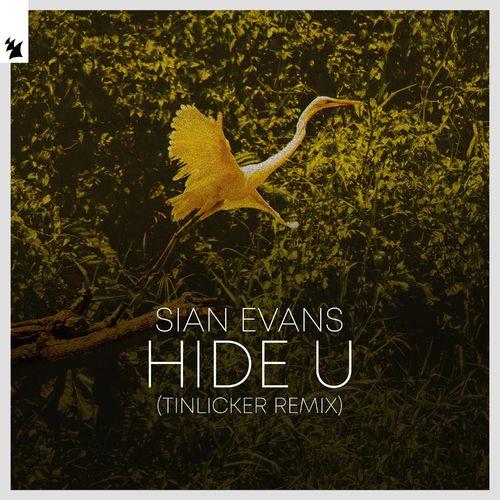 Roger Shah ft. featuring Sian Evans Hide U (Express Yourself Remix) cover artwork