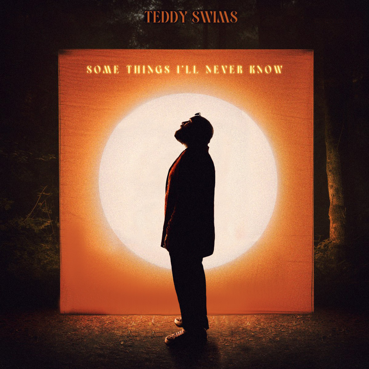 Teddy Swims Some Things I&#039;ll Never Know cover artwork