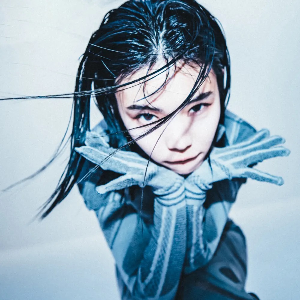 AINA THE END — sail cover artwork
