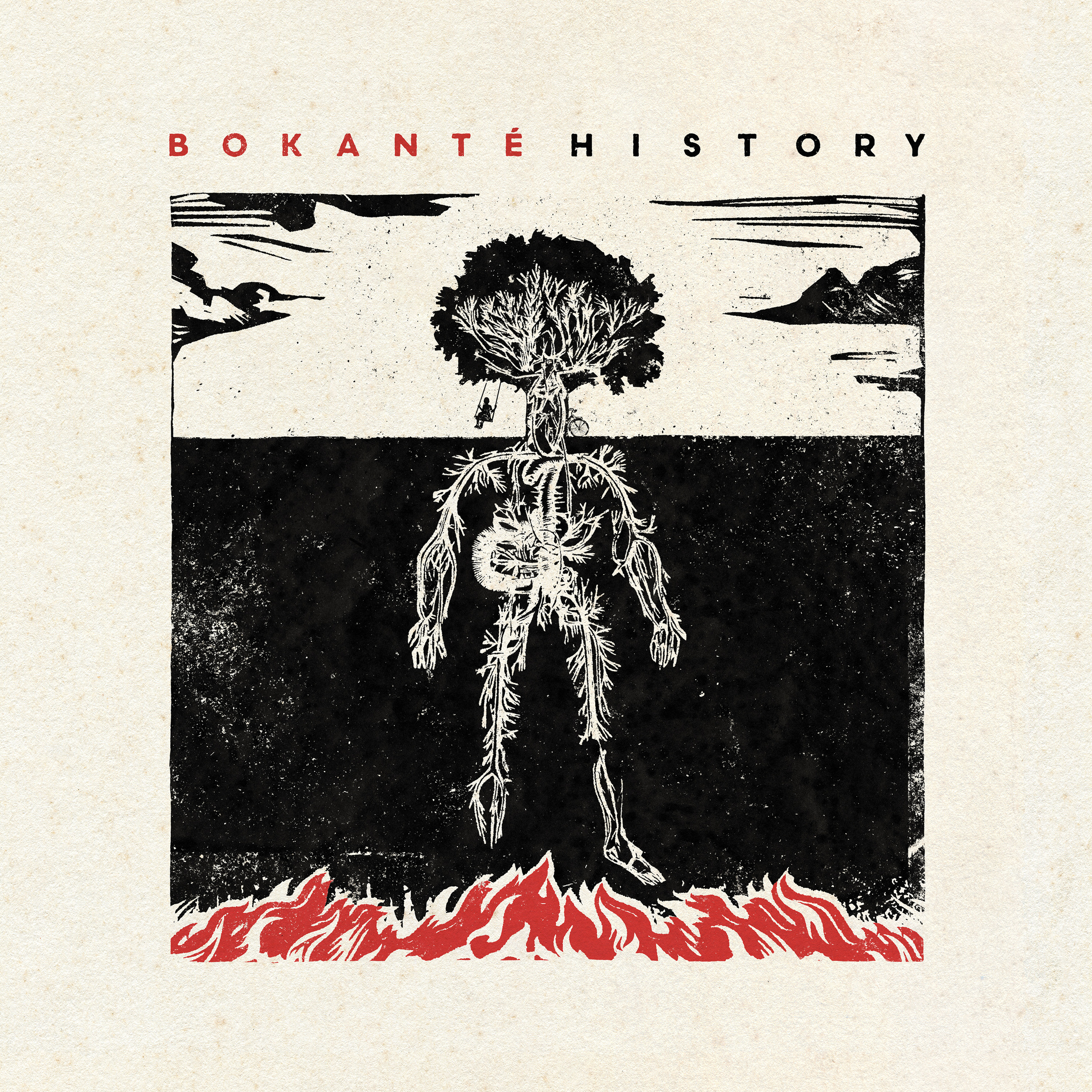 Bokanté History cover artwork