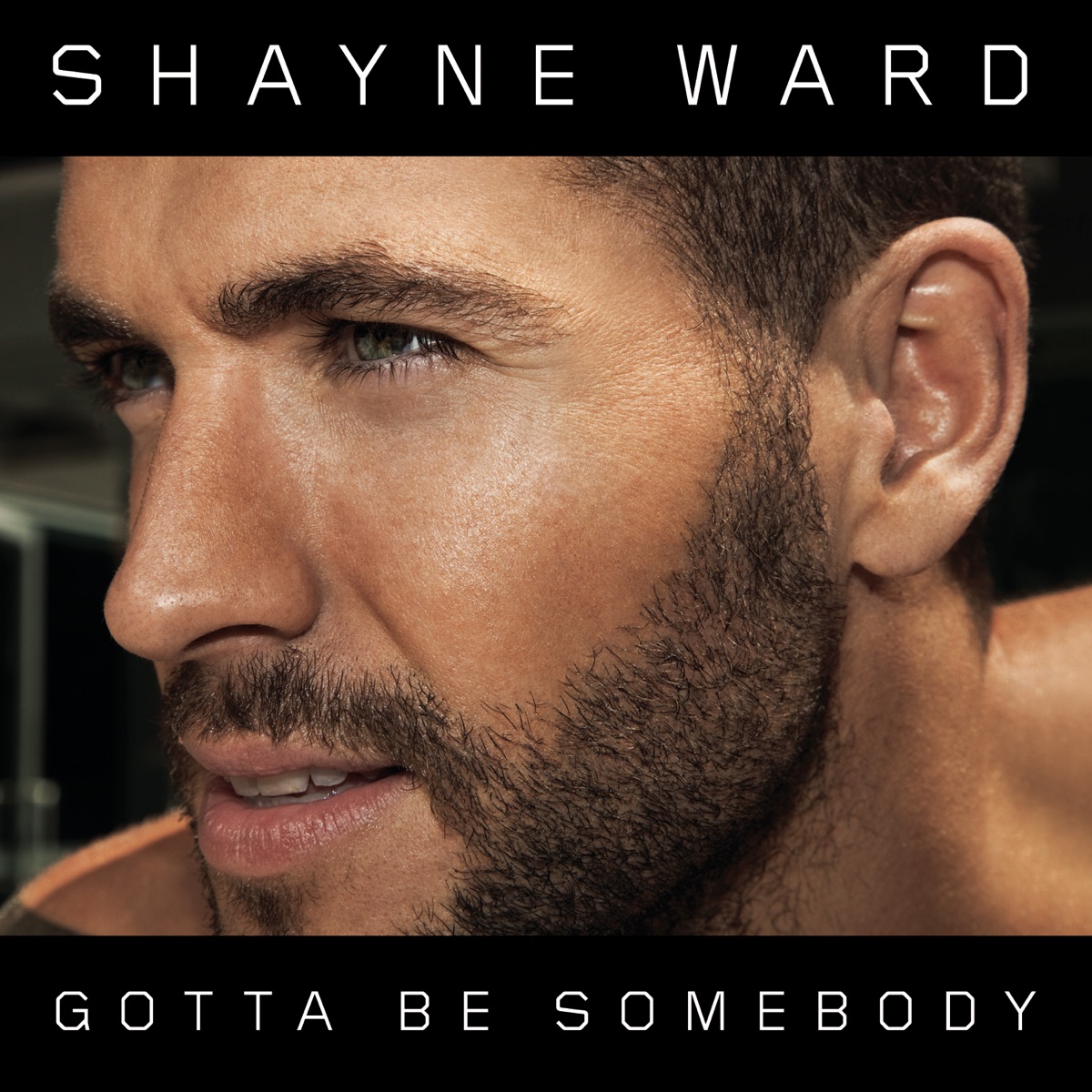 Shayne Ward — Gotta Be Somebody cover artwork