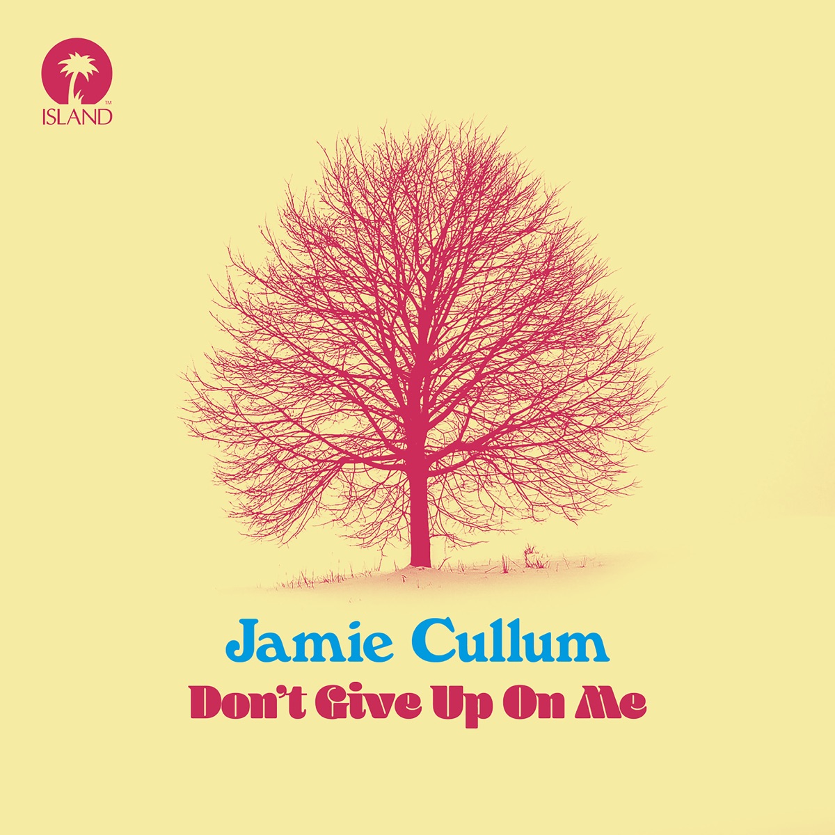 Jamie Cullum — Don&#039;t Give Up On Me cover artwork