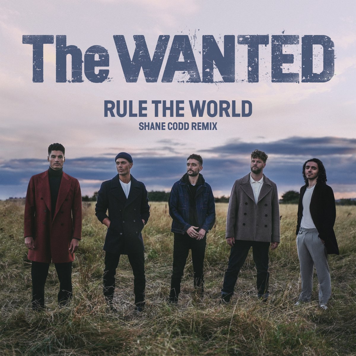 The Wanted — Rule the World (Shane Codd Remix) cover artwork