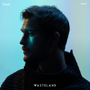 ZIAN Wasteland cover artwork