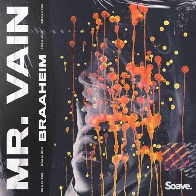 Braaheim — Mr. Vain cover artwork