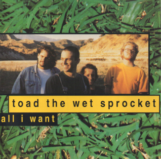 Toad the Wet Sprocket — All I Want cover artwork