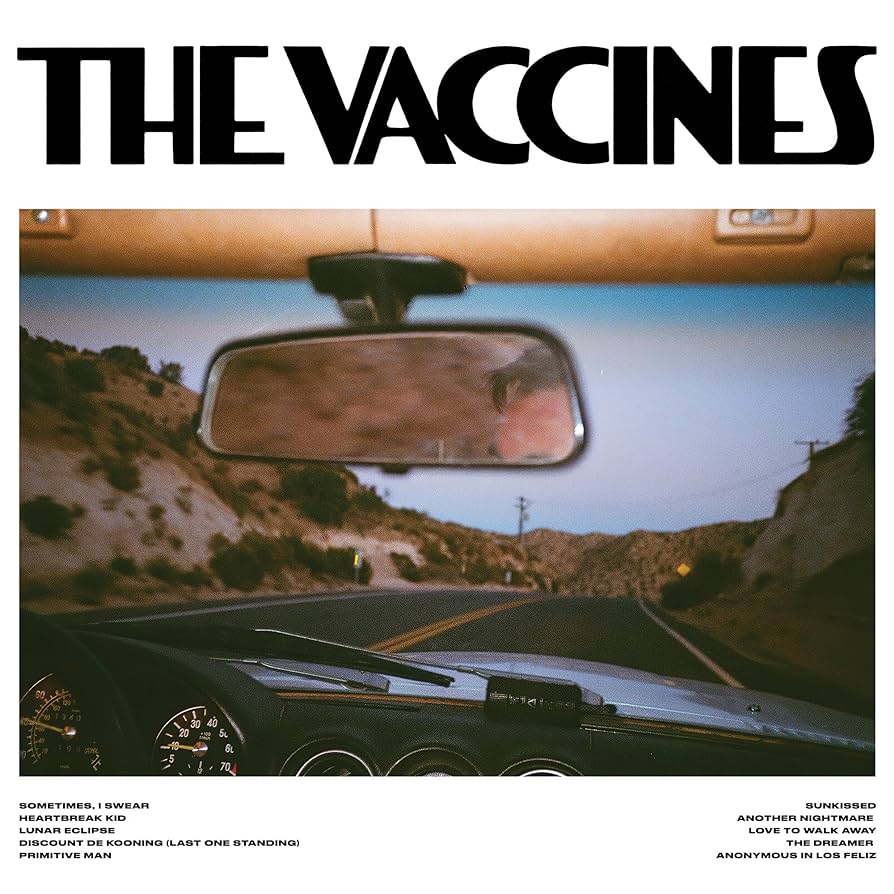 The Vaccines — Pick-Up Full Of Pink Carnations cover artwork