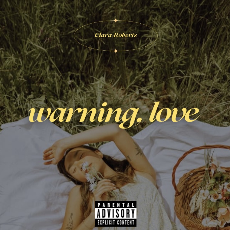 Clara Roberts warning, love! cover artwork