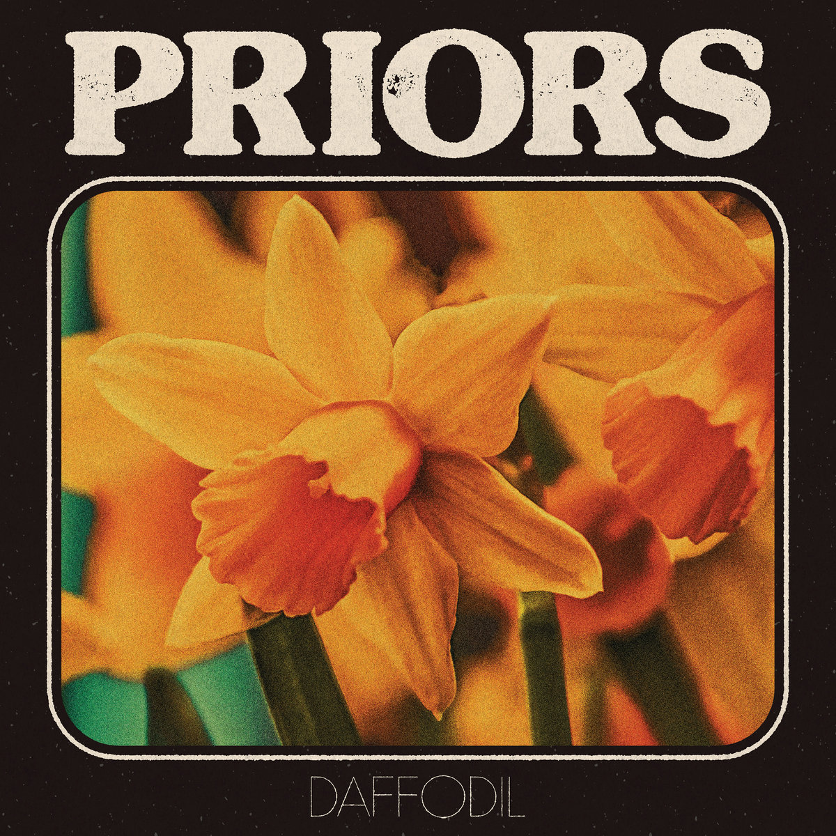 Priors Daffodil cover artwork