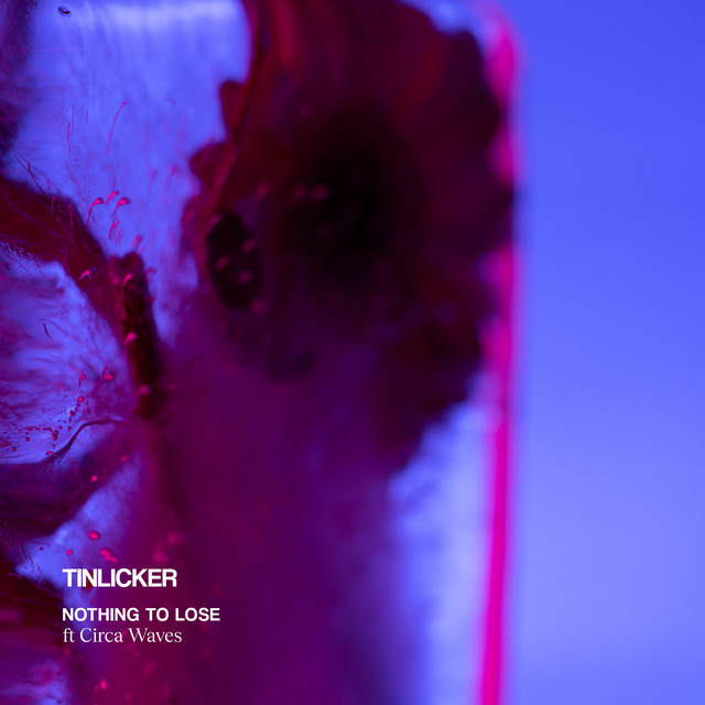 Tinlicker featuring Circa Waves — Nothing To Lose cover artwork