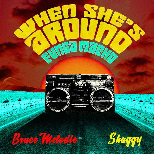 Bruce Melodie & Shaggy — When She&#039;s Around (Funga Macho) cover artwork