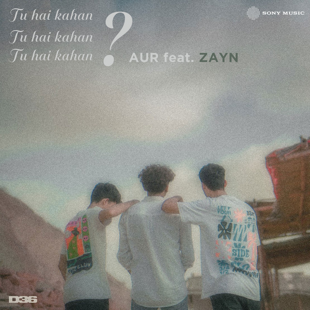ZAYN — Tu Hai Kahan cover artwork