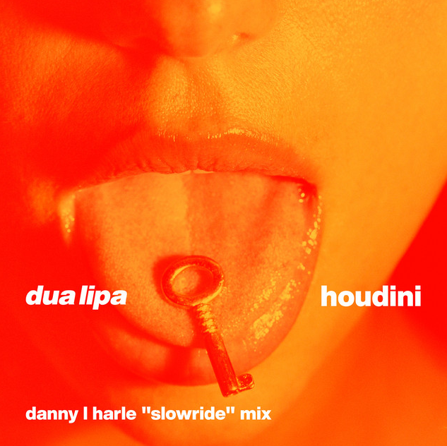 Dua Lipa & Danny L Harle — Houdini (Slowride Mix) cover artwork