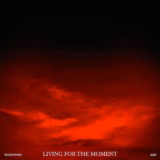 Woodyinho — Living For The Moment cover artwork