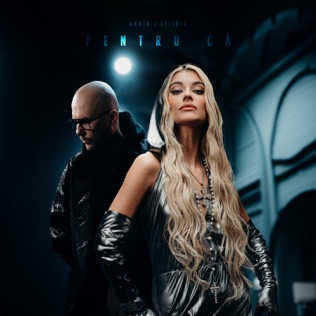 Andia & Deliric — Pentru ca cover artwork