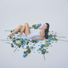 Jessica Baio petals cover artwork