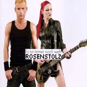 Rosenstolz — Es tut immer noch weh cover artwork