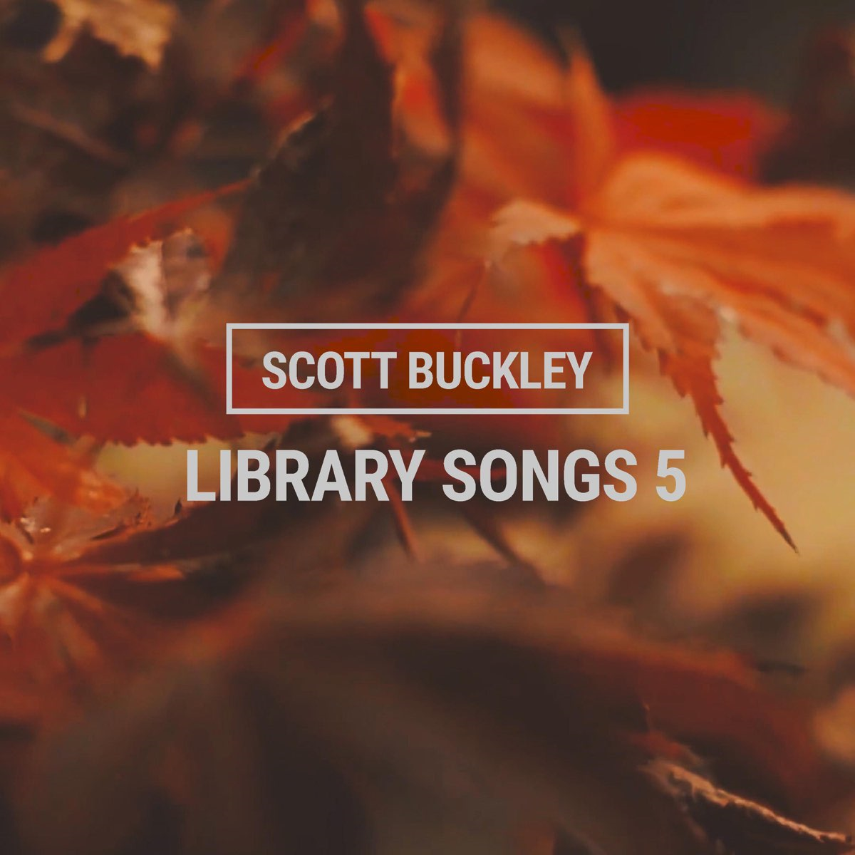 Scott Buckley — Undertow cover artwork