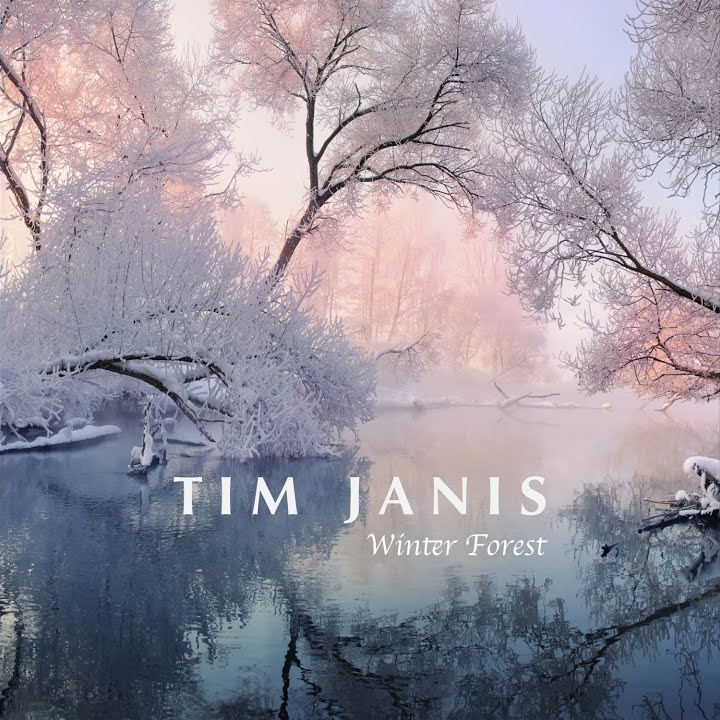 Tim Janis Winter Forest cover artwork
