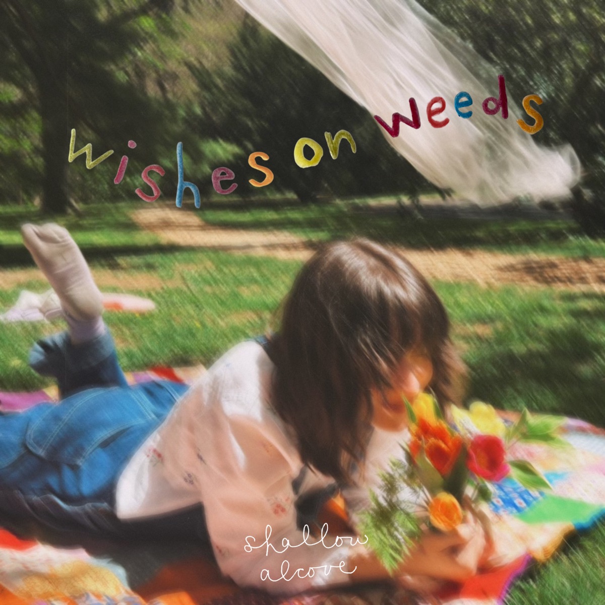 Shallow Alcove — Wishes on Weeds cover artwork