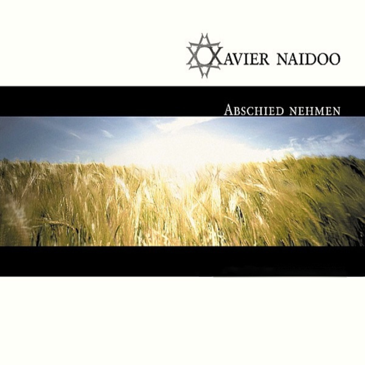 Xavier Naidoo Abschied nehmen cover artwork