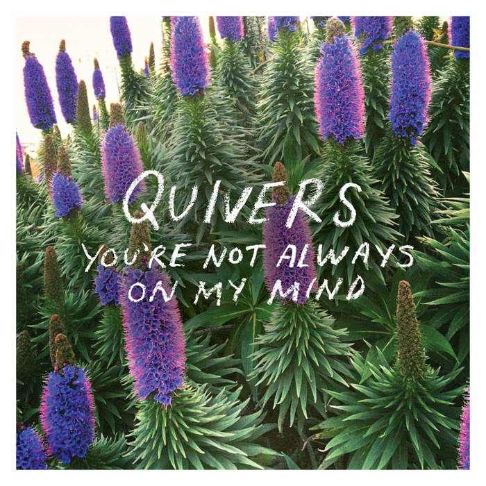 Quivers — You&#039;re Not Always On My Mind cover artwork