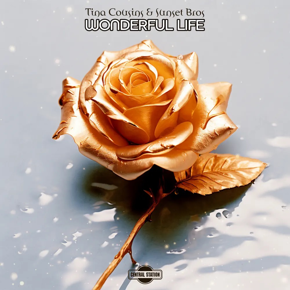 Tina Cousins & Sunset Bros — Wonderful Life cover artwork