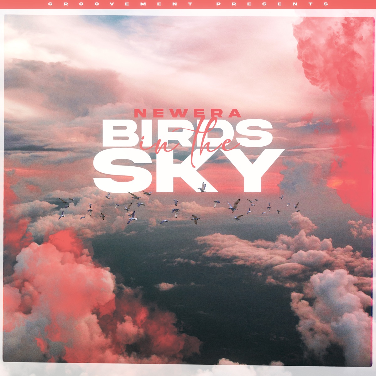 Newera Birds in the Sky cover artwork