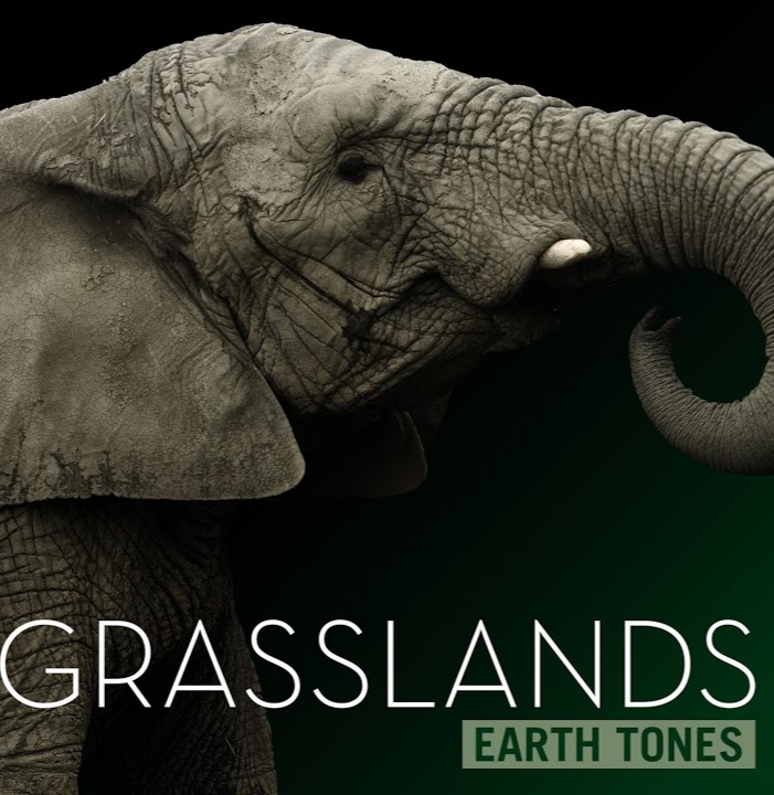 Bleeding Fingers Music Grasslands (Earth Tones) cover artwork