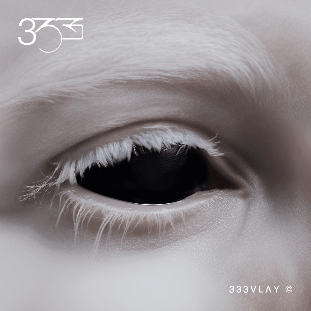 Evlay 333 cover artwork