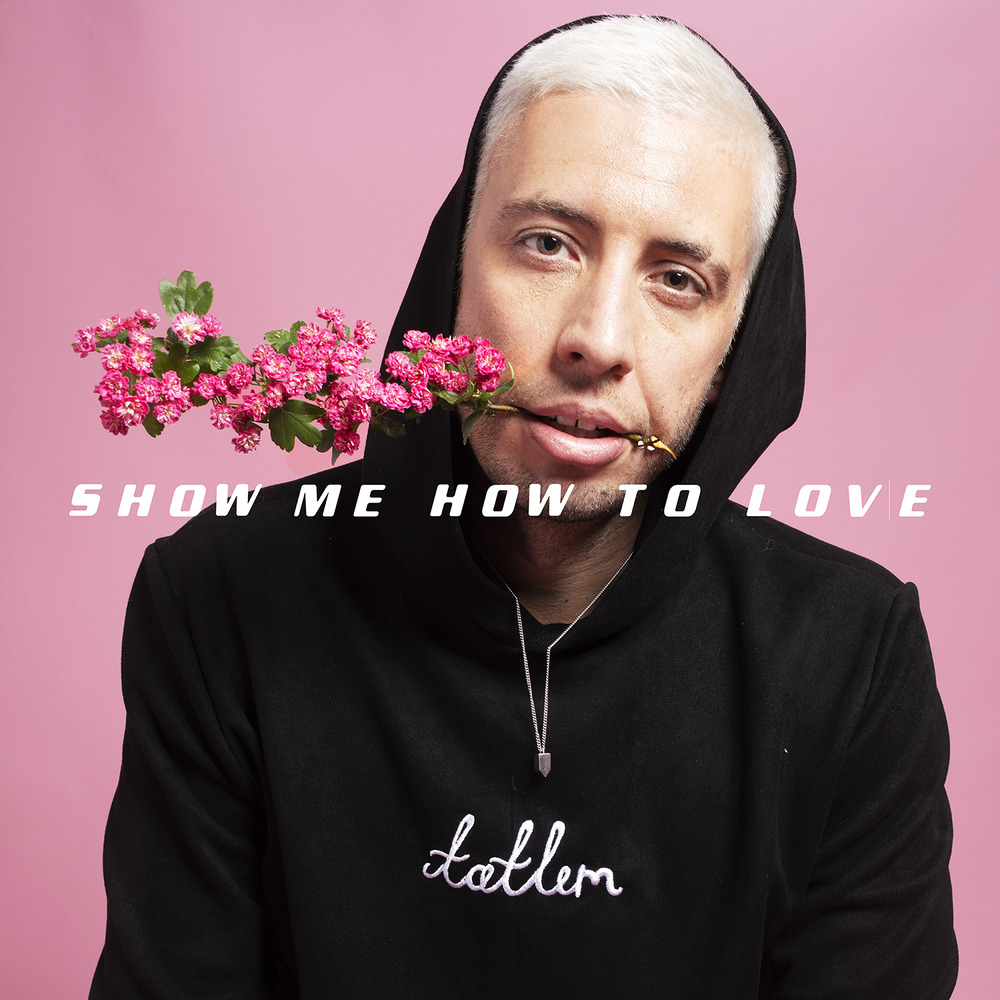 Example ft. featuring Hayla Show Me How to Love cover artwork